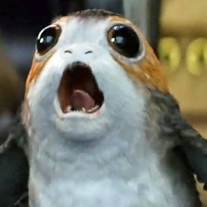 Meet your Posher, Elisa